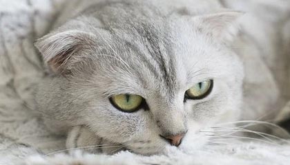 海宁最新公积金卡提取方法分析(最方便真实的海宁公积金卡提取后还可以继续使用吗方法)